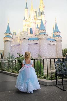 Fancy Cinderella Dress Cinderella's castle Walt disney world A dream is a wish your heart ma… | Cinderella dress disney, Cinderella dresses, Disney princess dresses