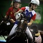 Image result for Horse Ball Game