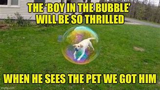 Image result for Bubble Guts Meme