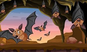 Image result for Bat Leaving Cave Cartoon