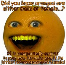 Image result for Bitter Orange Meme