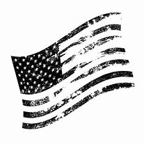 Image result for Current American Flag