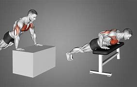 Image result for Incline Push-Up Muscles Worked