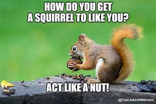 Image result for Nut Button Meme