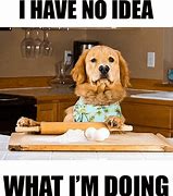 Image result for Cooking Meme