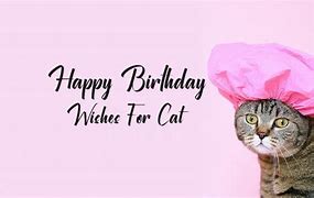 Image result for Wine Happy Birthday Cat