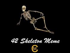 Image result for Skeleton Meme Laying Down
