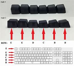 Image result for What Is the Difference Between Adult Keyboard and a Beginner Keyboard