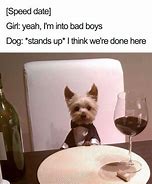 Image result for Wholesome Animal Memes