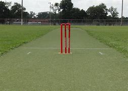 Image result for Indoor Cricket Pitch