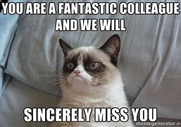 Image result for Co-Worker Miss You Meme
