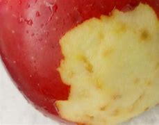 Image result for Apple Red Streaks Inside