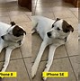 Image result for Apple iPhone 2 Cameras