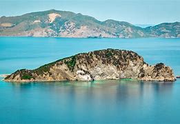 Image result for Turtle Island Zakynthos
