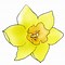 Image result for Flowers Clip Art All Kinds
