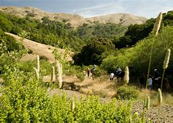 Image result for One Old Rancheria Rd.%2C Nicasio%2C CA 94946 United States