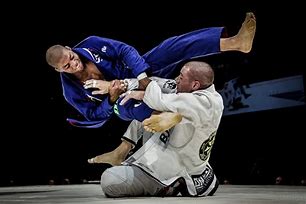 Image result for Figure 4 Ju Jitsu