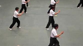 Image result for Wu Style 13 Form Tai Chi Chuan