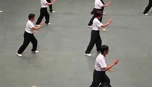 Image result for Wu Style Tai Chi Movements