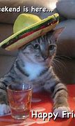 Image result for Friday Cat Meme