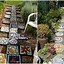 Image result for Garden Stepping Stones Walkway