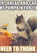 Image result for Halloween Squirrel Memes