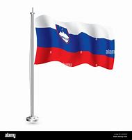 Image result for Slovenia Country Flag