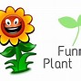 Image result for Funny Plant Signs