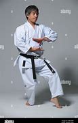 Image result for Japanese Karate