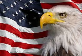 Image result for American Patriotic Symbols