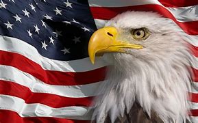 Image result for Cool American Flag Symbol