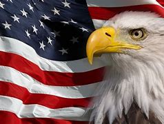 Image result for American Flag and Eagle and Baseball Themed iPhone 13 Phone Case