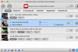 Image result for YouTube Downloader Application