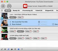 Image result for YouTube Downloader Mac