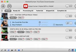 Image result for MediaHuman YouTube Downloader