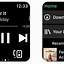 Image result for iPhone 1.1.3 Mini Screen