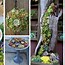 Image result for Best Pots for Succulents