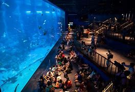 Image result for World's Best Aquariums