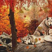 Image result for Wolves Wallpaper