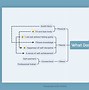 Image result for Mind Map Choice Theory