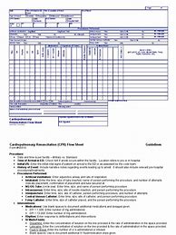 Image result for CPR Documentation Flow Sheet