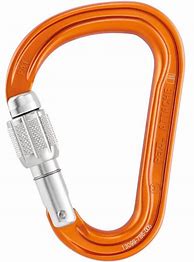 Image result for Carabiner for Climbing
