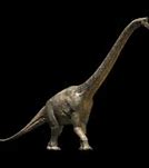 Image result for Biggest Air Dinosaur