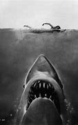 Image result for Shark Selfie Meme