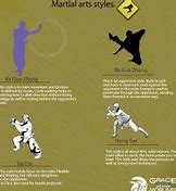 Image result for Styles of Martial Arts