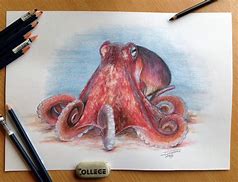 Image result for Octopuses Front View Drawings in Pencils