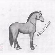 Image result for Thessalian Horse