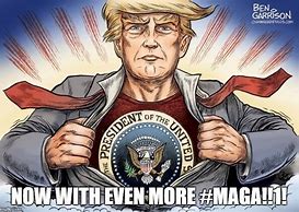 Image result for Funny Maga Memes