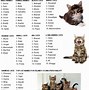 Image result for Unpopular Cat Names