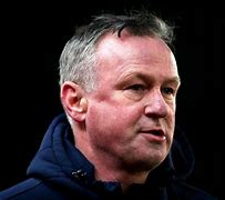 Image result for Michael O'Neill